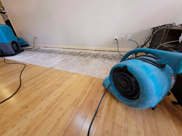 Professional Sewage Cleanup technician working in San Diego, CA